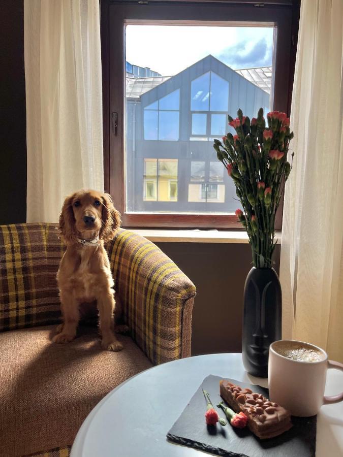 Apartament Grand Krupowki 47 Zakopane Exteriör bild